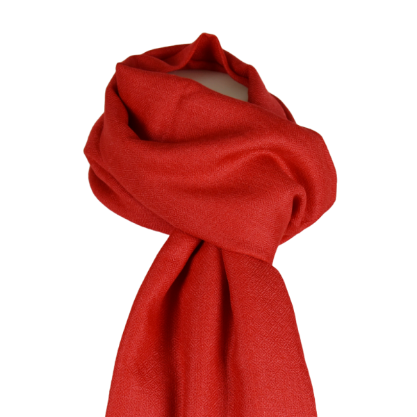 Écharpe Pashmina et Soie Ton Uni