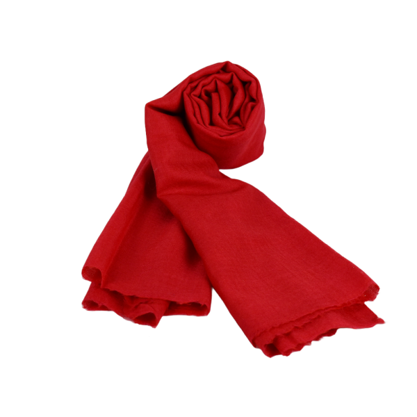 Écharpe Fine en Pashmina et Soie