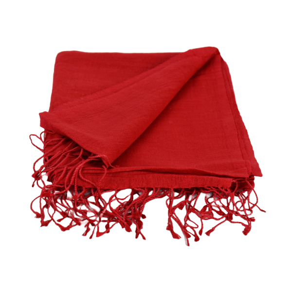 Écharpe Fine Pashmina et Soie