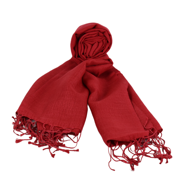 Écharpe Fine Pashmina et Soie