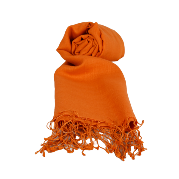 Écharpe Fine Pashmina et Soie