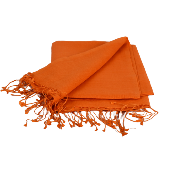 Écharpe Fine Pashmina et Soie