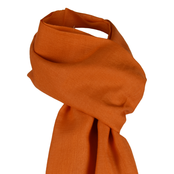 Écharpe Fine Pashmina et Soie