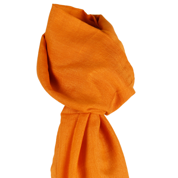 Écharpe Fine Pashmina et Soie