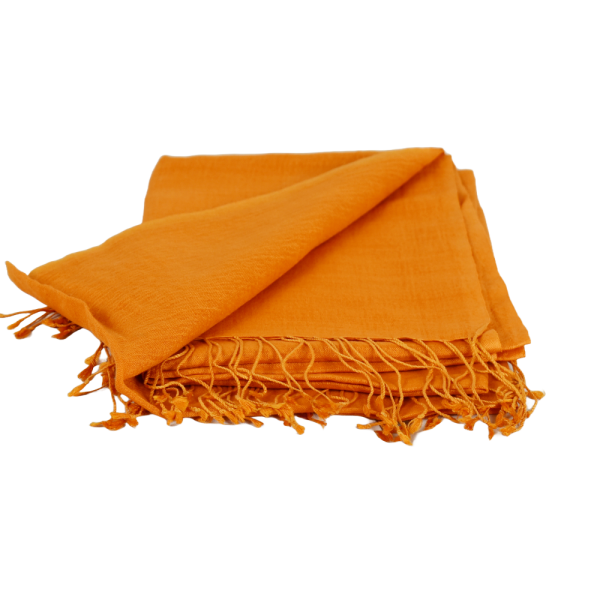 Écharpe Fine Pashmina et Soie