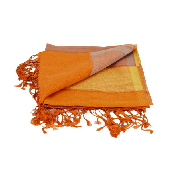 Écharpe Fine Pashmina et Soie Gopnar