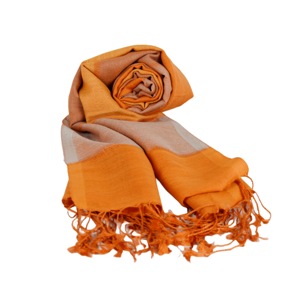 Écharpe Fine Pashmina et Soie Gopnar