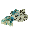 Écharpe Bleu et Écru Coton Imprimé CH25-D